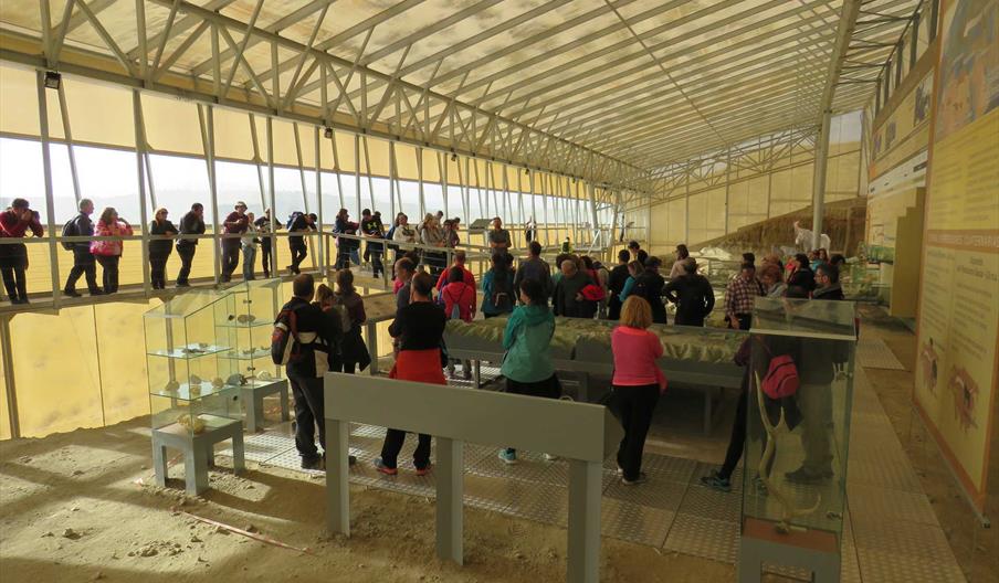 Estación paleontológica Río fardes