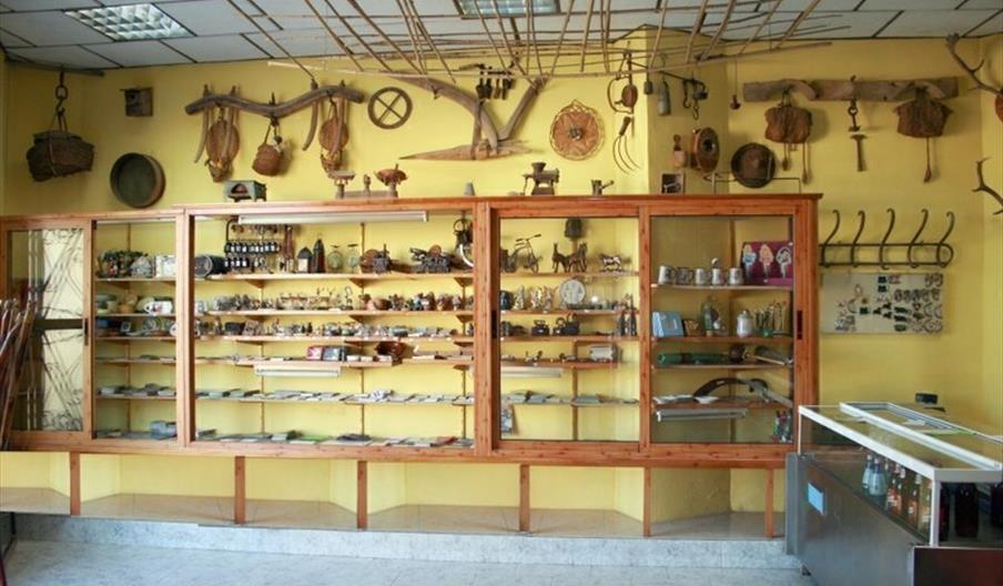 Apus Internacional Arroyo Frío