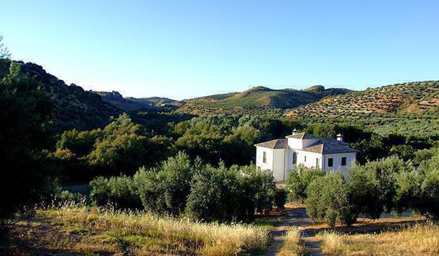 Casa Olea casa rural de lujo