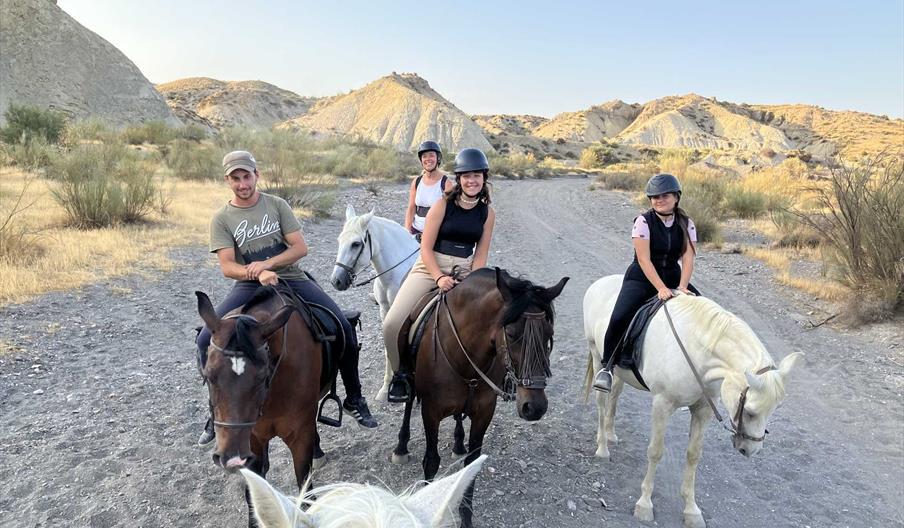 Ruta "Desierto de Tabernas" 2 horas - todos niveles 1