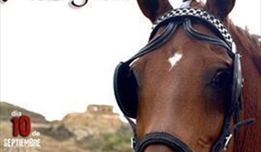 Travesía Ecuestre Córdoba-Ategua