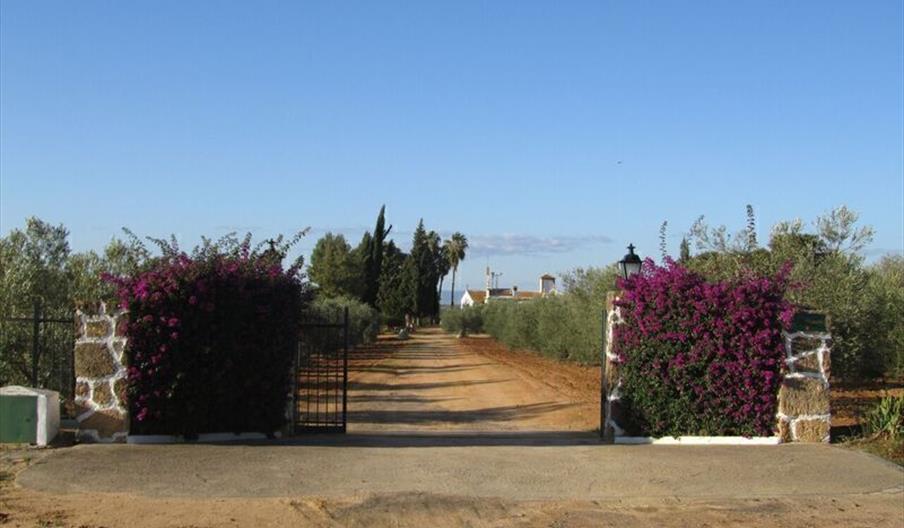 Casa Rural Hacienda La Sendilla