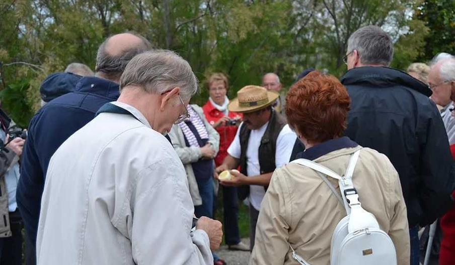 Finca Ecológica Juanito Orange