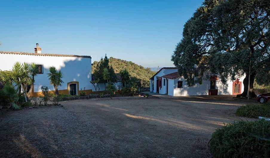 Vivienda Rural Cortijo El Manzano