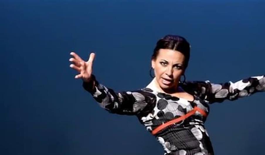 Academia de Flamenco Noelia Sabarea