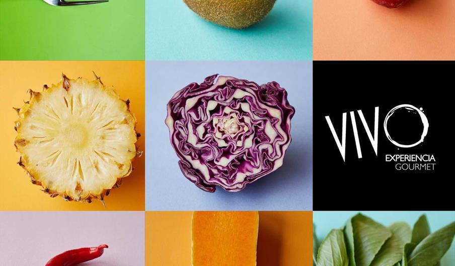 VIVO Experiencia Gourmet