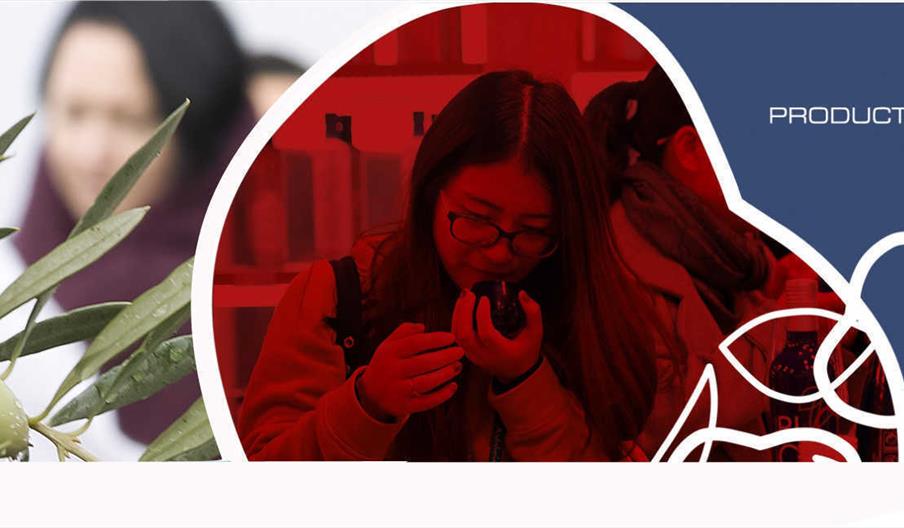 plantilla imagen oleoturismo en jaen con picualia