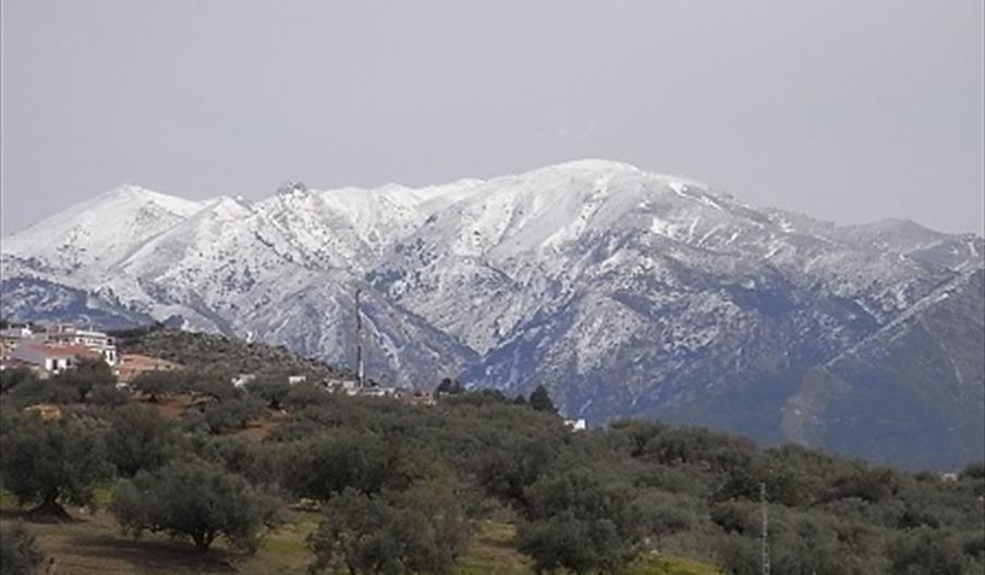 Casa Rural Cortijo La Loma de Moya