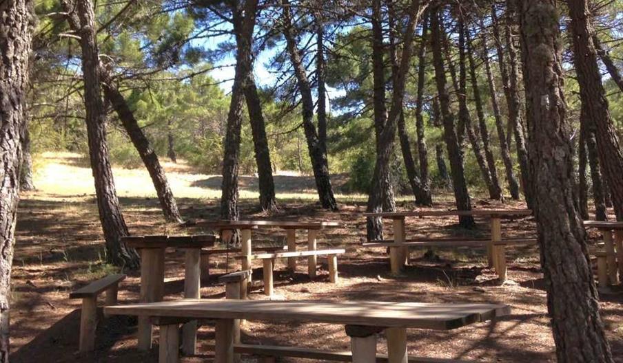 Área Recreativa Los Quejigales 1