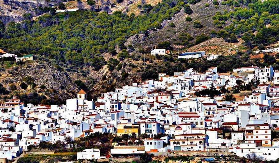 Canillas de Aceituno