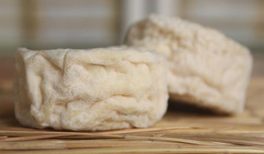 Mare Nostrum Postres y Lácteos