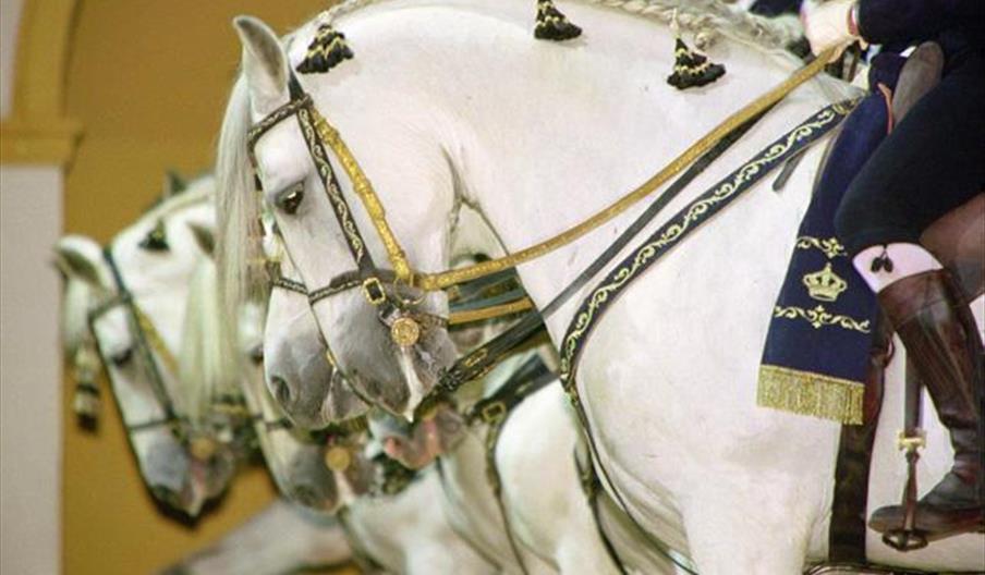 Fundación Real Escuela Andaluza del Arte Ecuestre