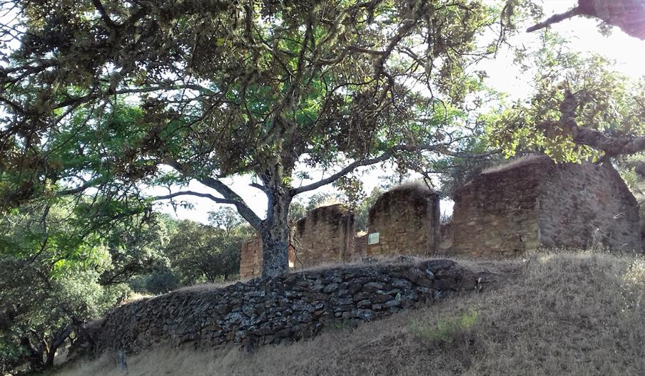 Huerta de Juan Santos