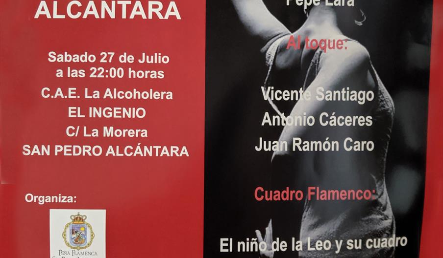 Festival de Cante Flamenco de San Pedro de Alcántara