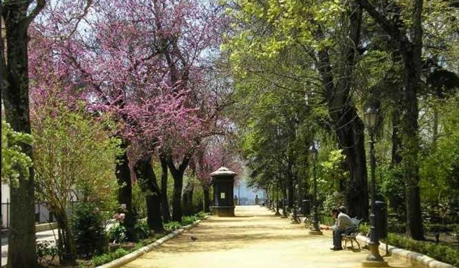 Alameda del Tajo Turismo de Ronda