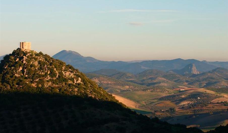 Zona Arqueológica de Cotte