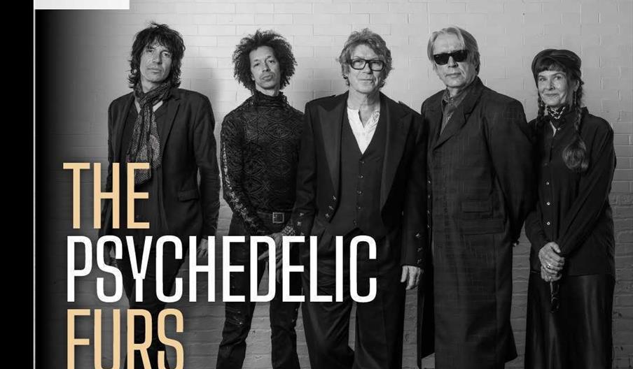 Concierto de Psychedelic Furs - 1001 Músicas en la Alhambra