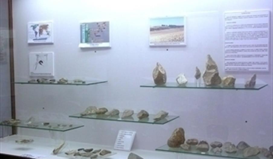 Museo Arqueológico y Etnológico de Santaella