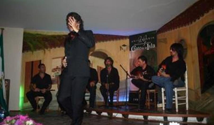 Peña Cultural Flamenca Chato de la Isla