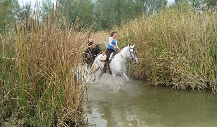 Europae - Europa Equitación