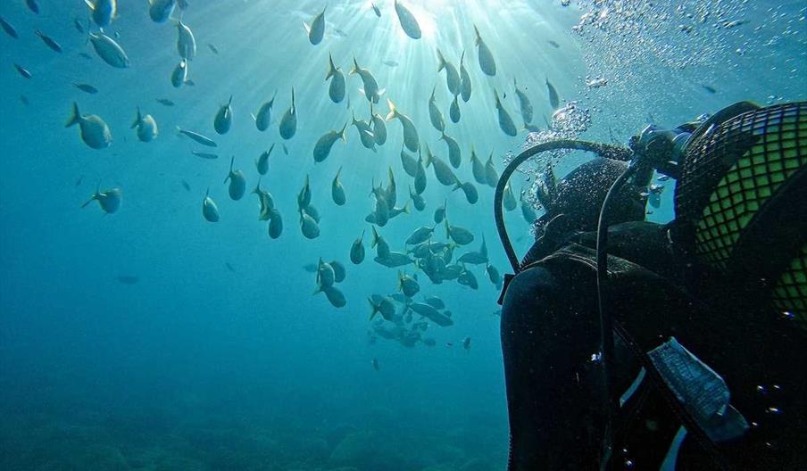 Bautismo de buceo La Herradura