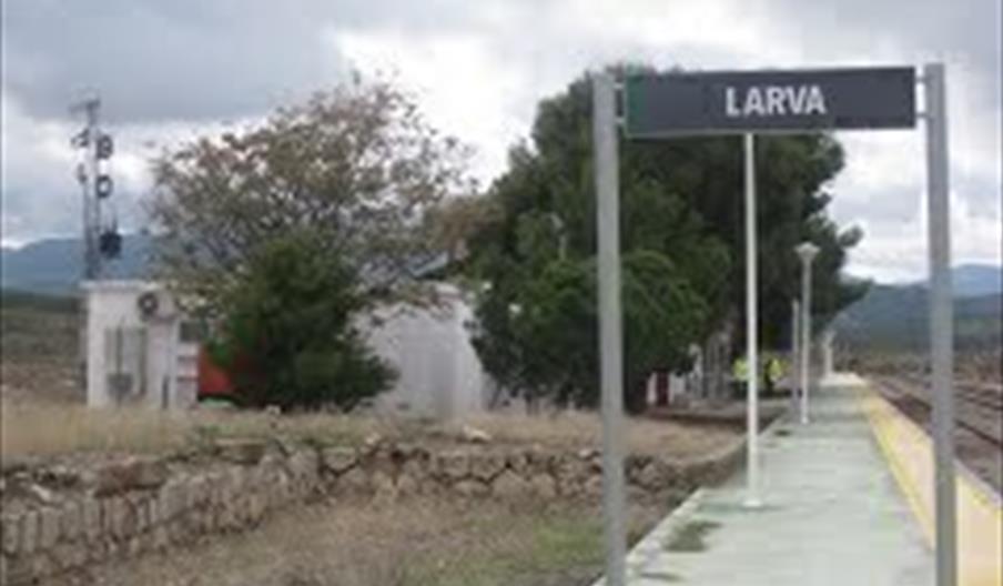 Estacion de Larva