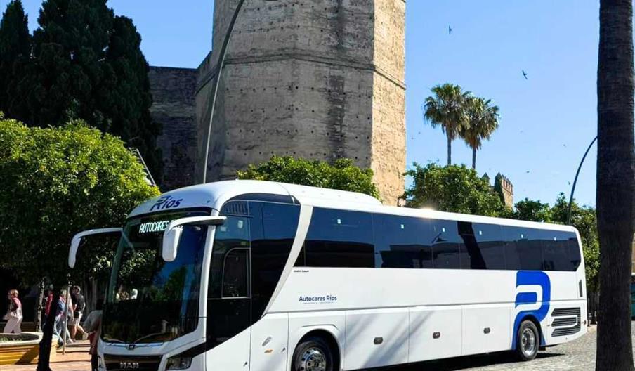 Flota autocares málaga