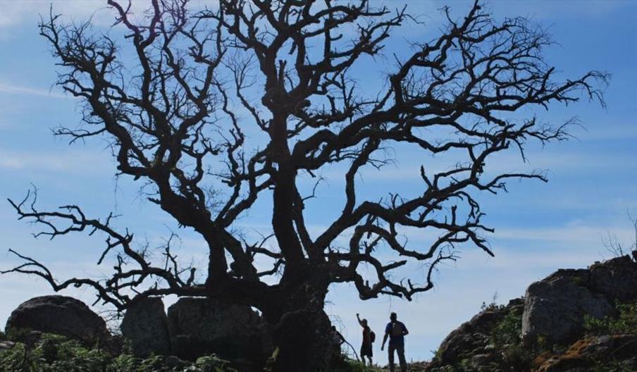 Culture Sport Adventures