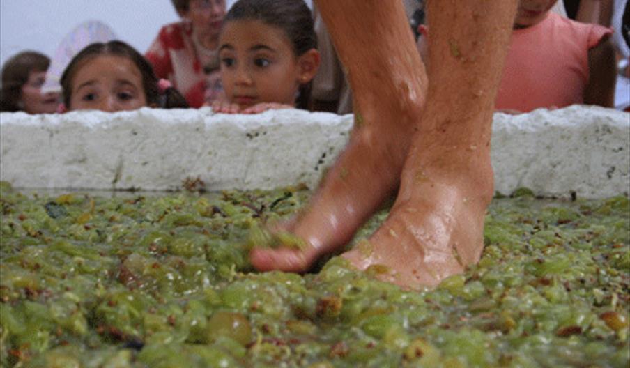 Fiesta de la Vendimia en Manilva