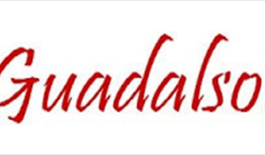 Viajes Guadalsol Motril