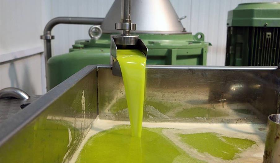 Almazara de Canjáyar