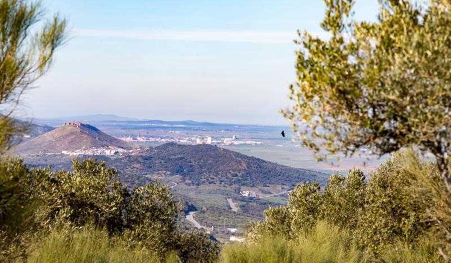 Fotos La Capitana Turismo Provincial Sevilla