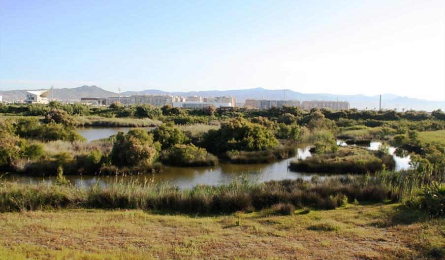 Desembocadura del Guadalhorce