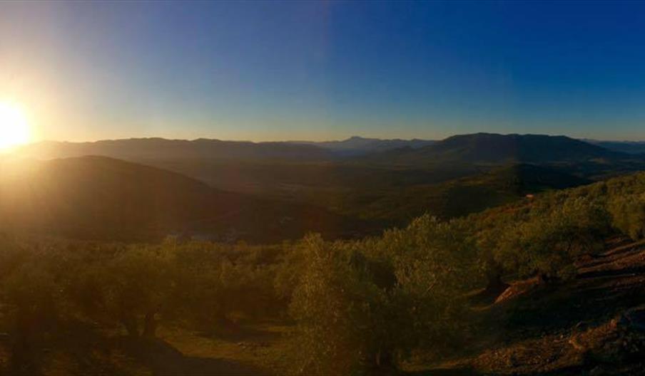 Almazara Sierra de Génave