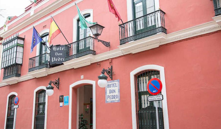 Hotel Casa Palacio Don Pedro