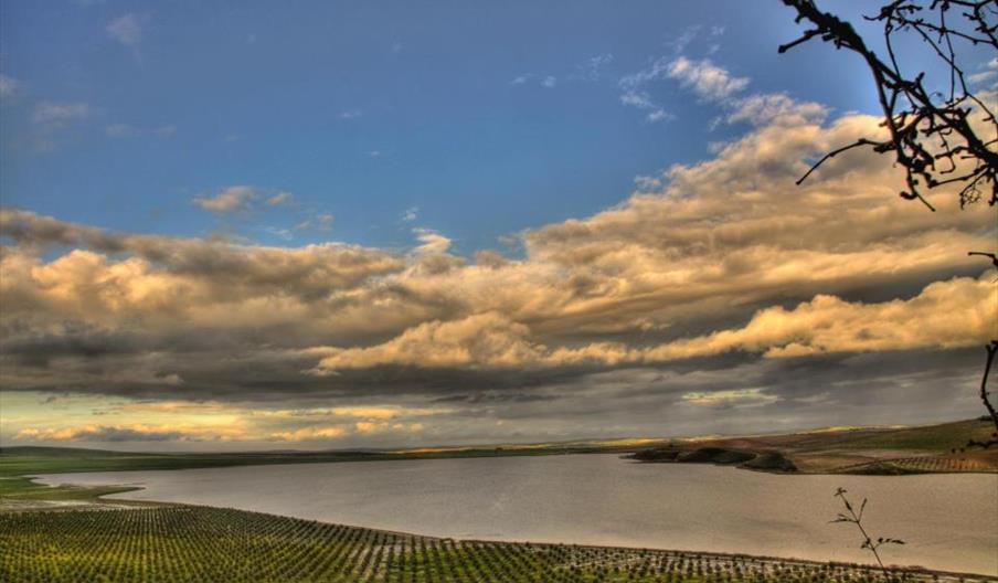 Complejo Endorreico de La Lantejuela