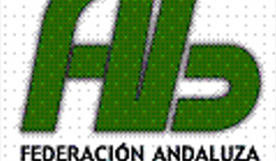Federación Andaluza de Voleibol