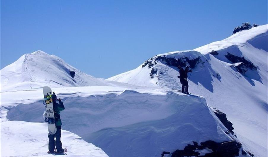Wax Surfers Sierra Nevada