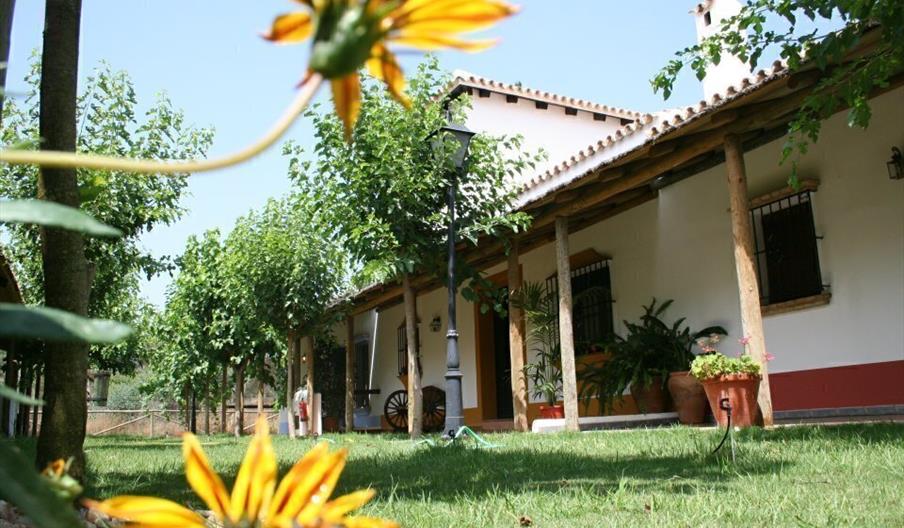 Hostal Pequeño Rocío