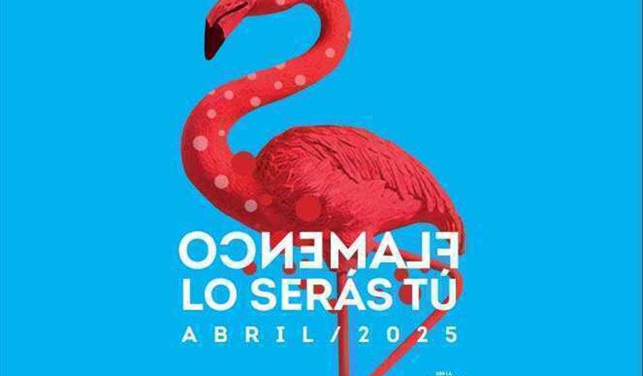 Flamenco lo serás tú 2025