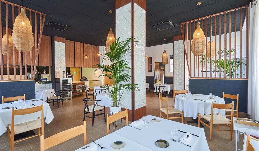 Restaurante Terra Olea