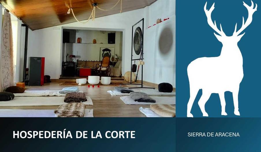 Programa de Mindfulness para Empresas