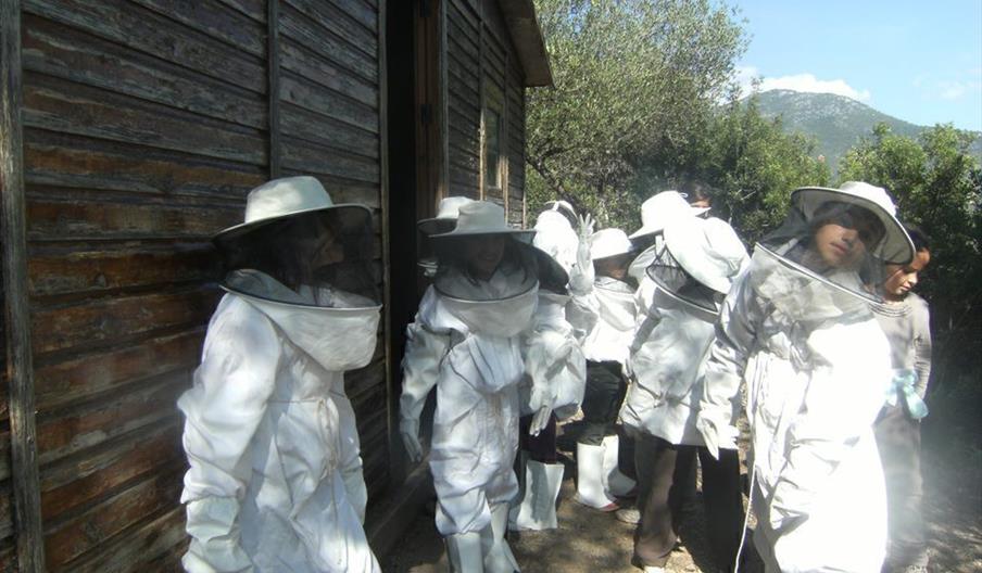 Aula de Naturaleza Higuerón de Tavizna