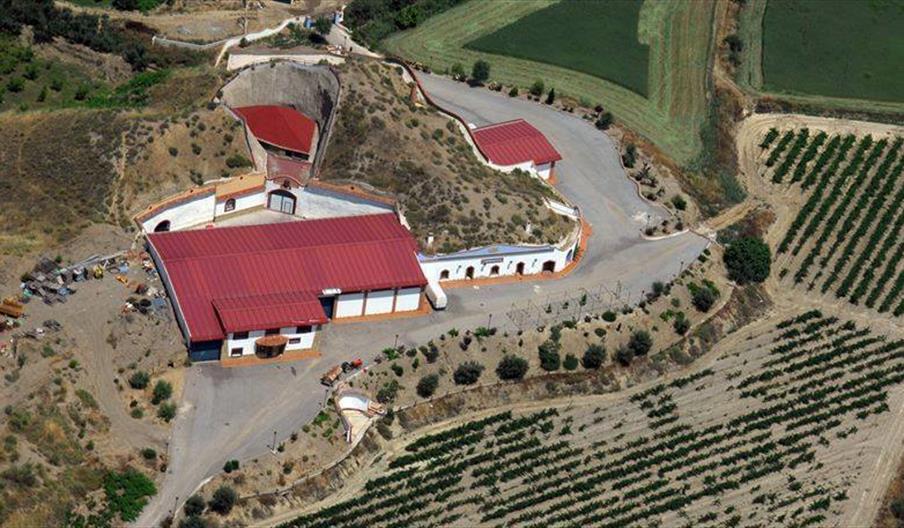 Bodega Pago de Almaraes