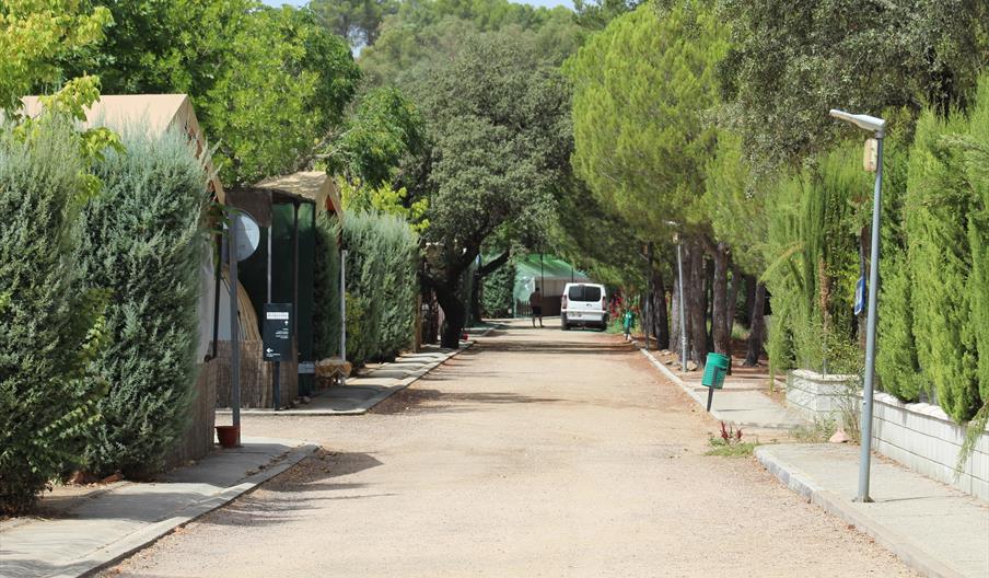 Camping Puente Nuevo