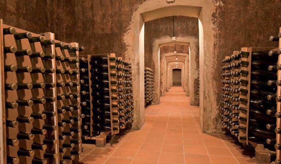 Bodegas Virgen del Rocío