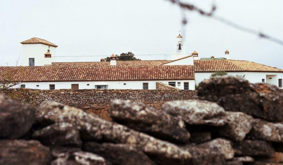 Bodega Cortijo Los Aguilares