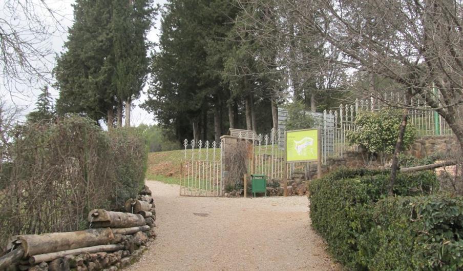 Jardin Botánico Torre del Vinagre
