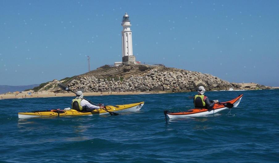 Pinapark Aventura y Animación