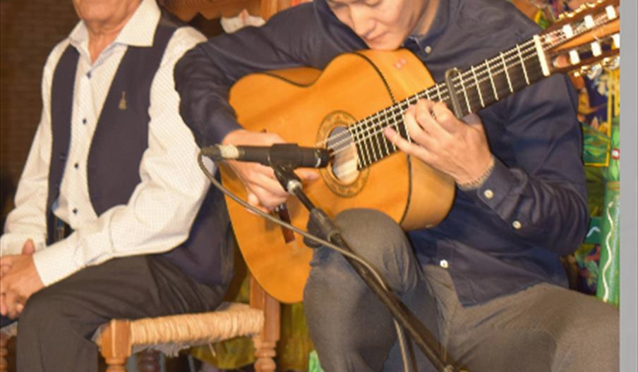 rama flamenca la oliva